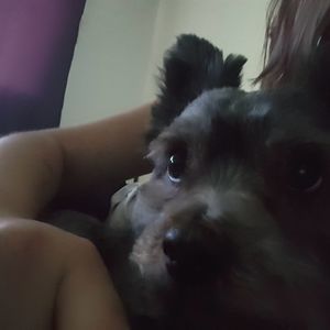 Meet your Posher, Tanya